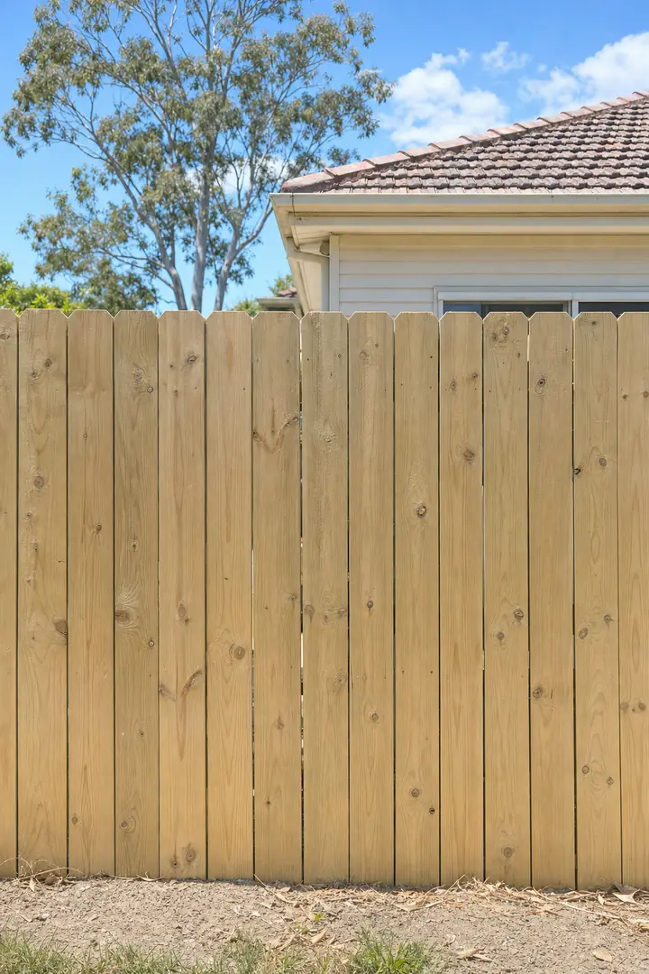 Butted treated pine paling fence with dog-eared tops along a backyard boundary