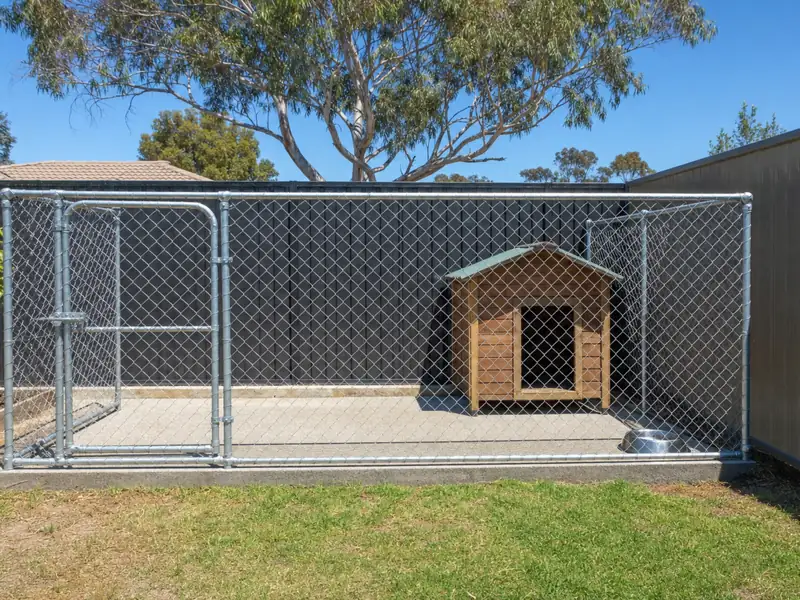 Galvanised chain mesh dog run with a timber kennel in a Melbourne backyard