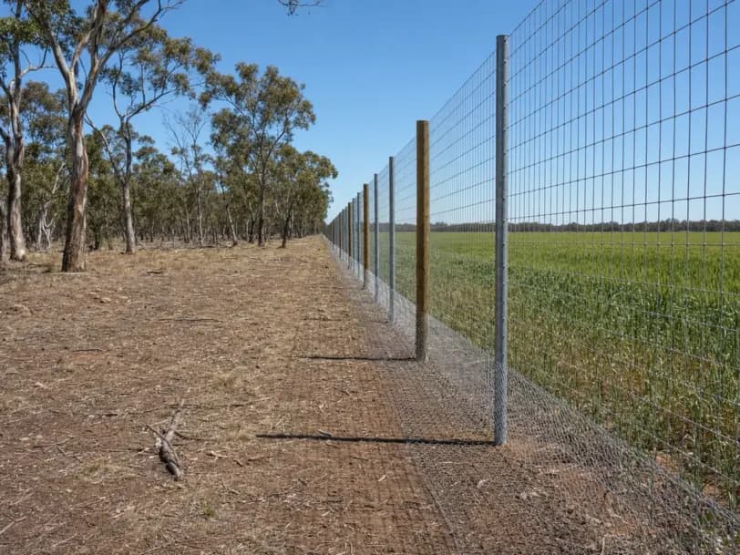 Tall exclusion fence with a netting apron between bushland and a crop in north-east Victoria