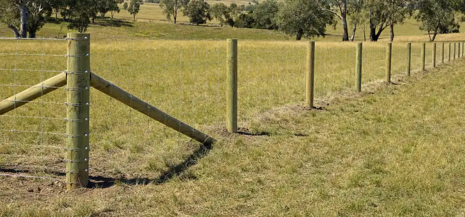 New farm fence across paddocks in regional Victoria