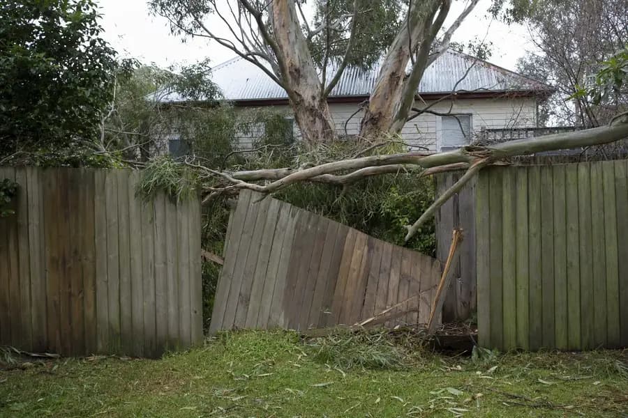 Timber paling fence pushed over by a fallen gum branch after a storm in a Melbourne backyard